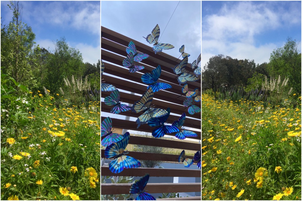 disruption-accelerates Ridge Innovative blog disruption innovates ecosystem